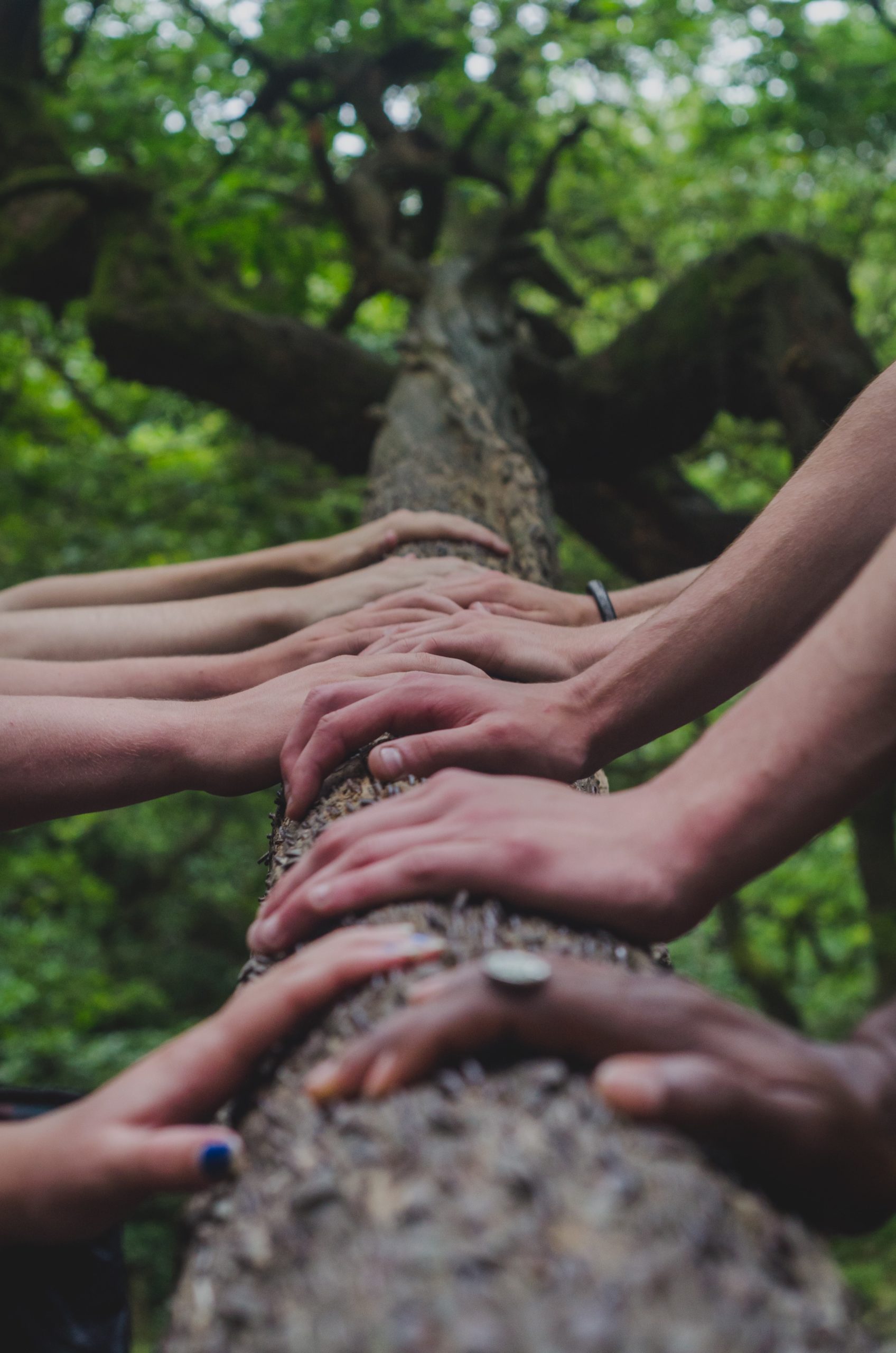 Indigenous Healing Track